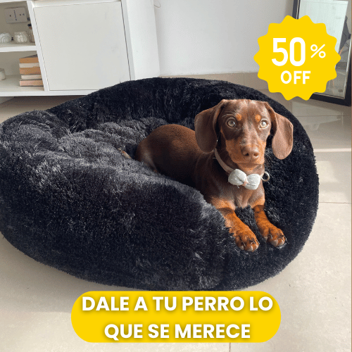 CAMA PREMIUM PARA MASCOTAS + CEPILLO A VAPOR